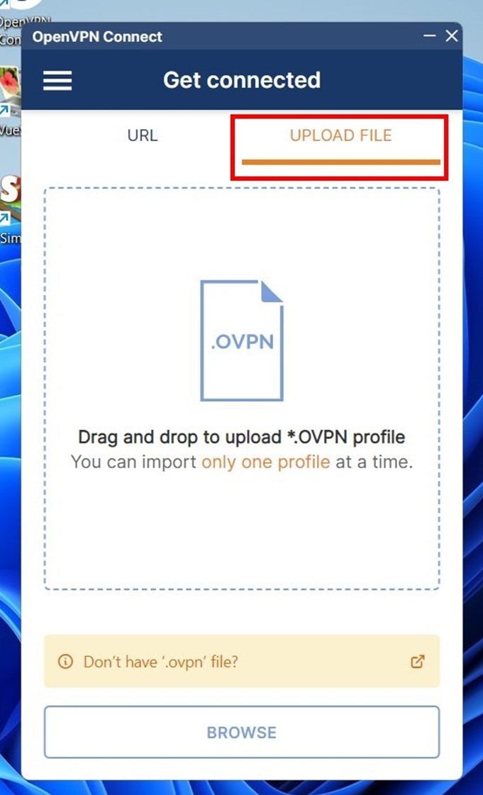 Connect the OpenVPN