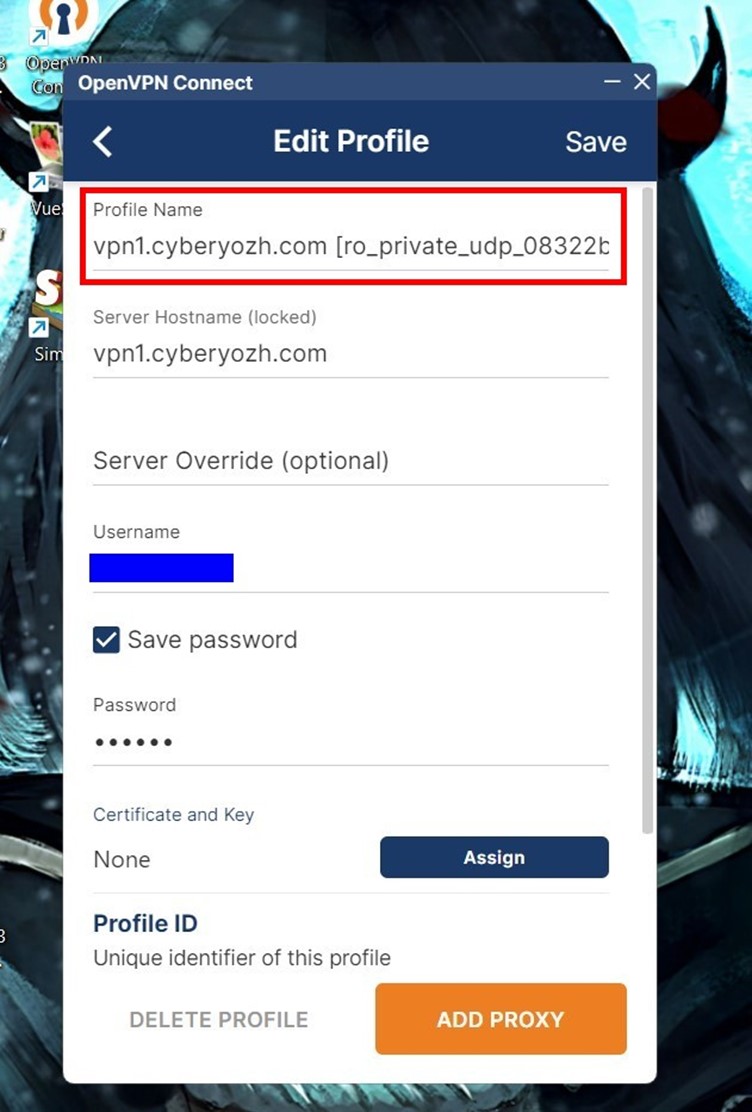profile name in openvpn