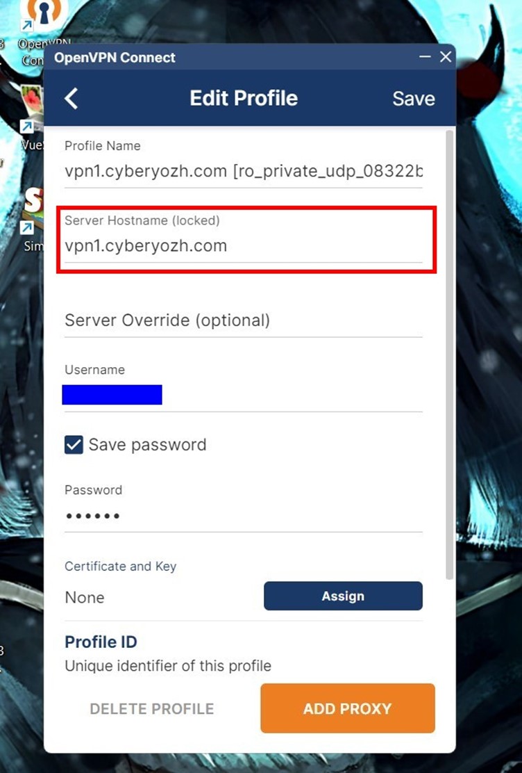 The Server Hostname
