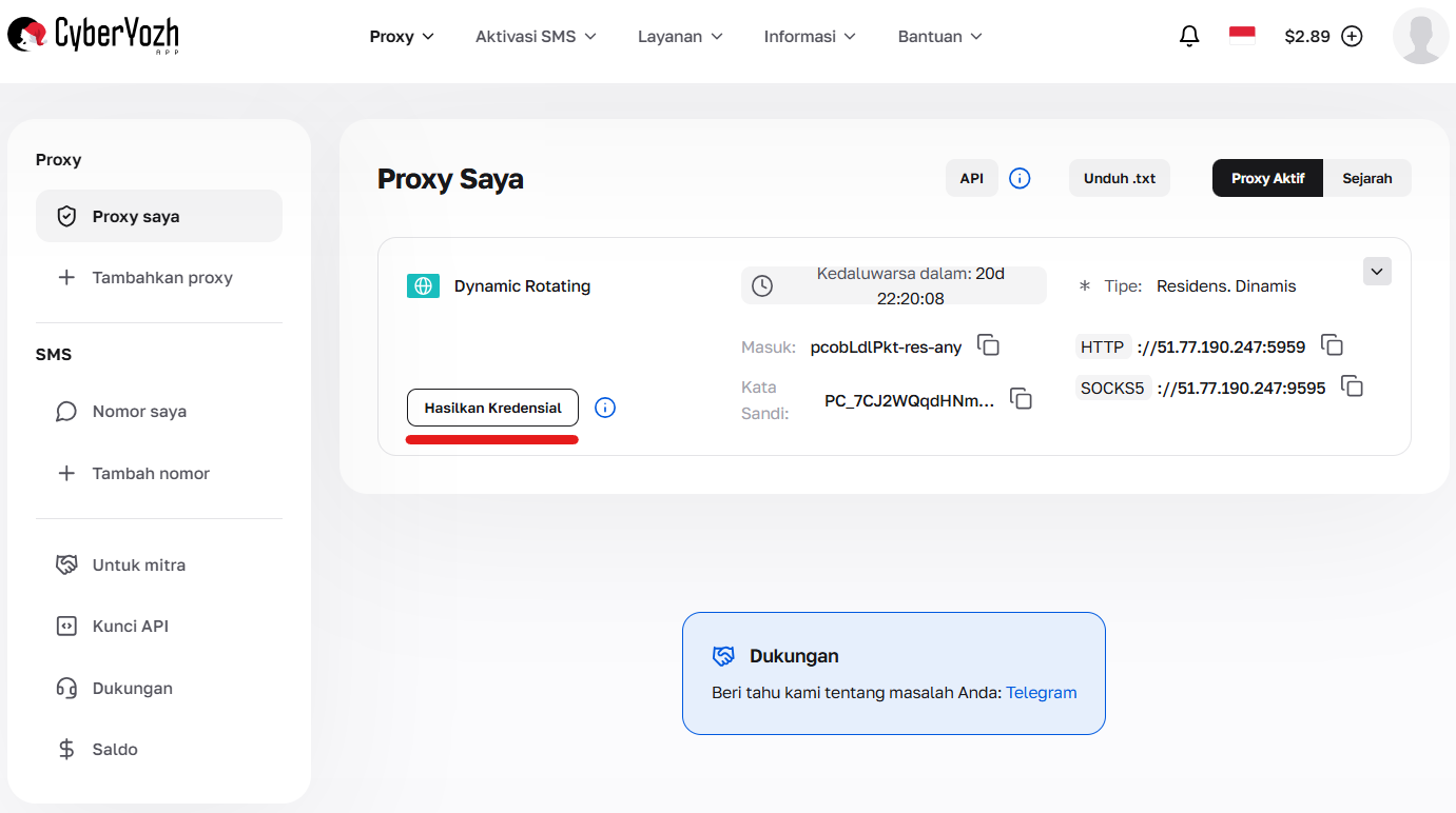Tombol "Buat kredensial login" di akun pribadi
