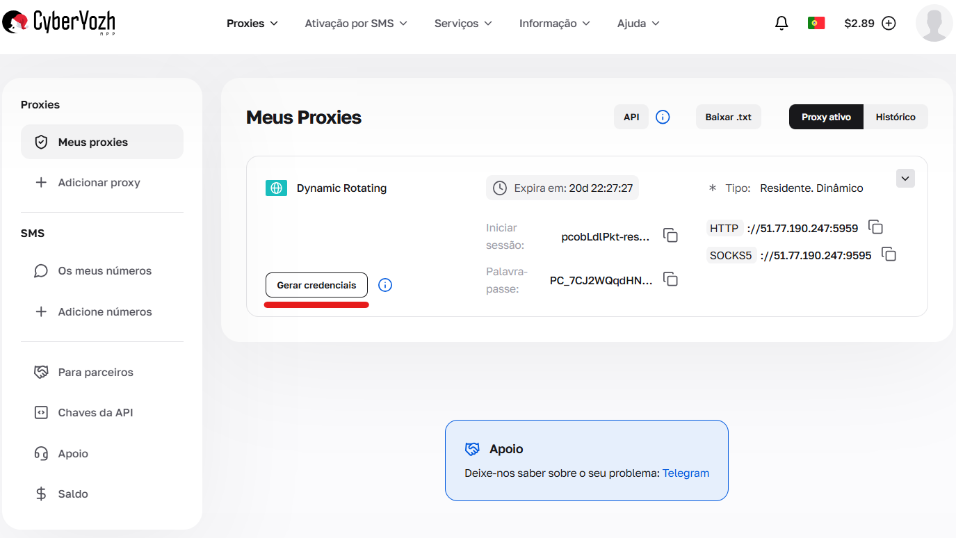 Botão no painel de controle para abrir a interface do gerador de credenciais