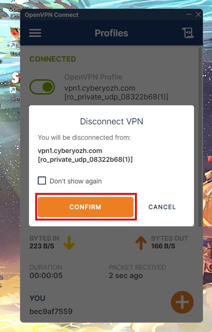 Confirm the Open VPN