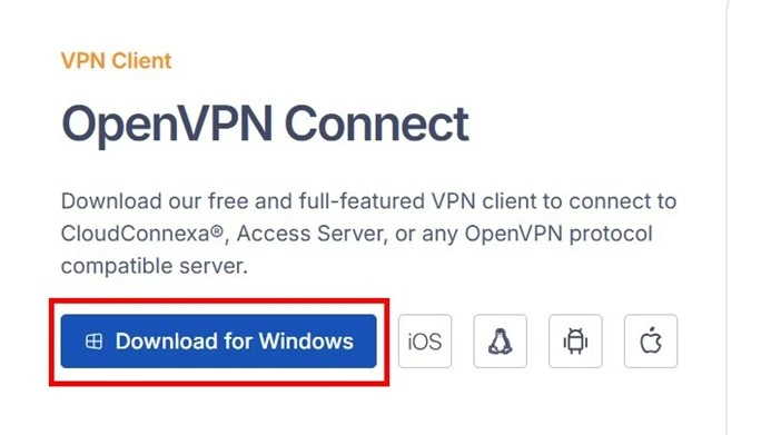  The VPN setup window 