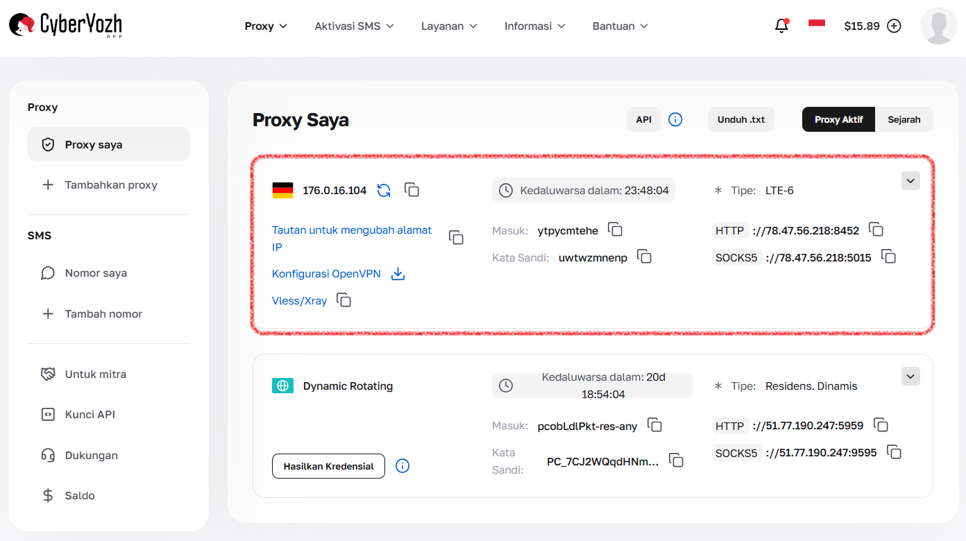 Kartu proxy seluler dengan data koneksi