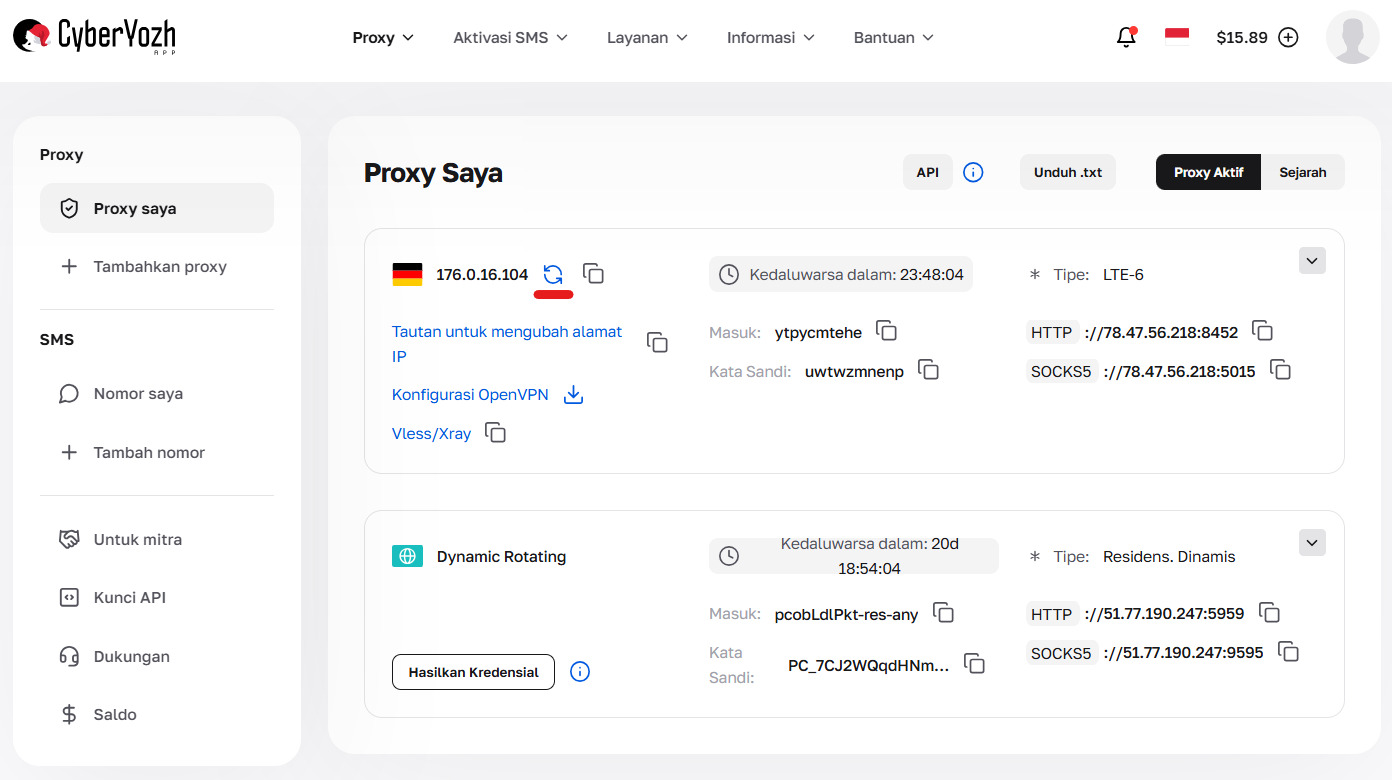 Kartu Proxy Seluler di akun pribadi dengan tanda di mana Anda bisa mengganti alamat IP secara manual.