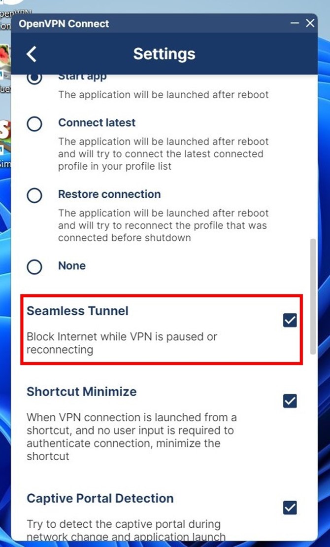 IP address or DNS on Open VPN