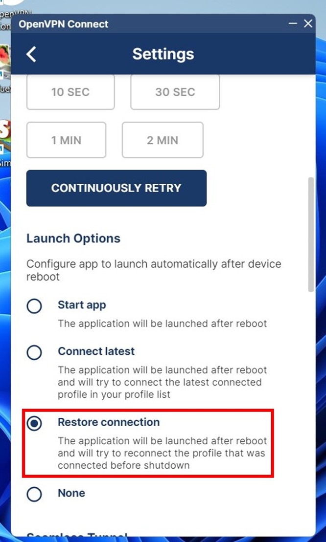 Launch Options in Open VPN