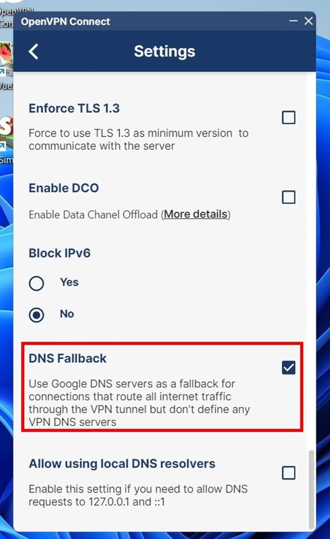 DNS Fallback in Open VPN